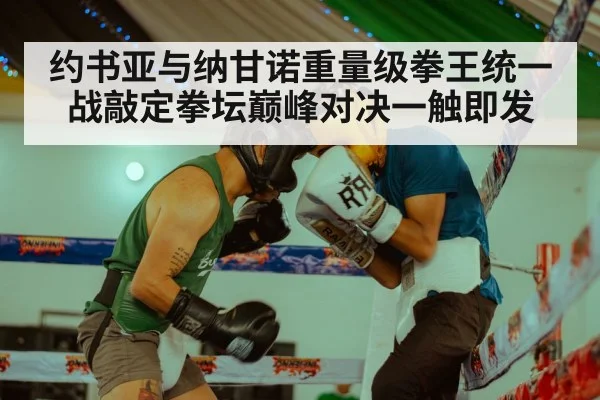 约书亚与纳甘诺重量级拳王统一战敲定拳坛巅峰对决一触即发
